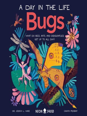 cover image of A Day in the Life of Bugs
